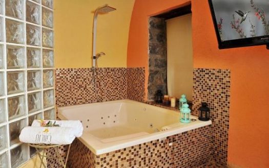 אחוזת כינורות